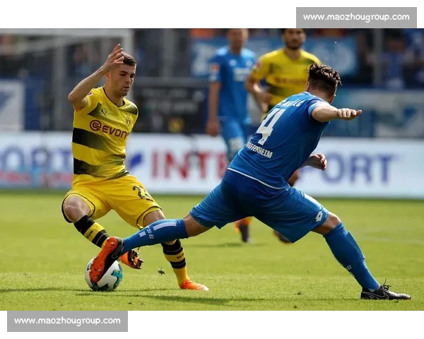 霍芬海姆主场迎战多特蒙德德甲强强对话看点十足赛前前瞻走势解析